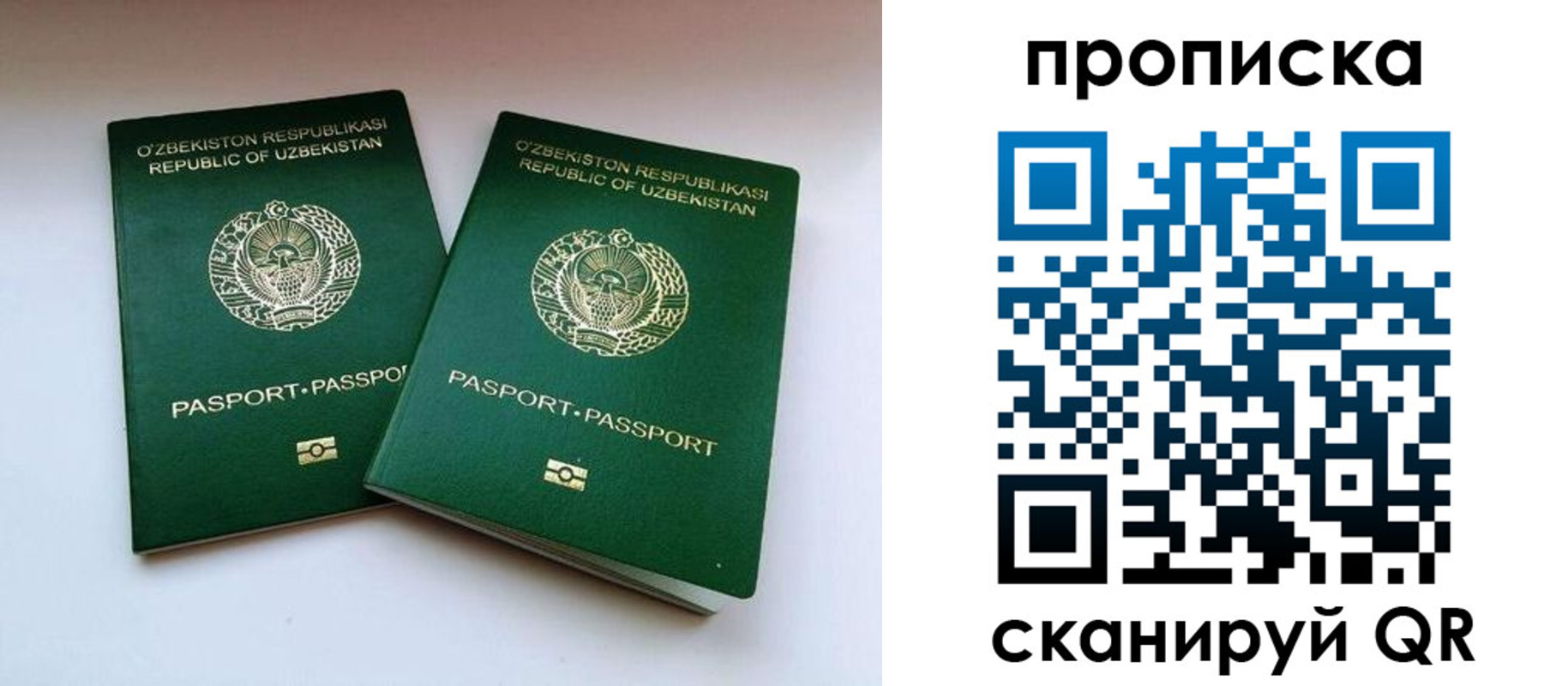 прописка поиск в Тынде
